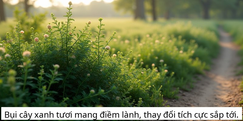 Bụi cây xanh tươi mang điềm lành, thay đổi tích cực sắp tới.