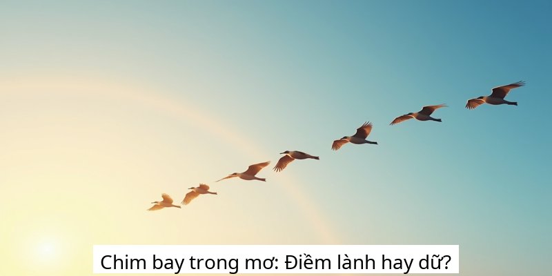 Chim bay trong mơ: Điềm lành hay dữ?