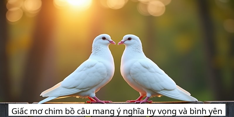 Giấc mơ chim bồ câu mang ý nghĩa hy vọng và bình yên