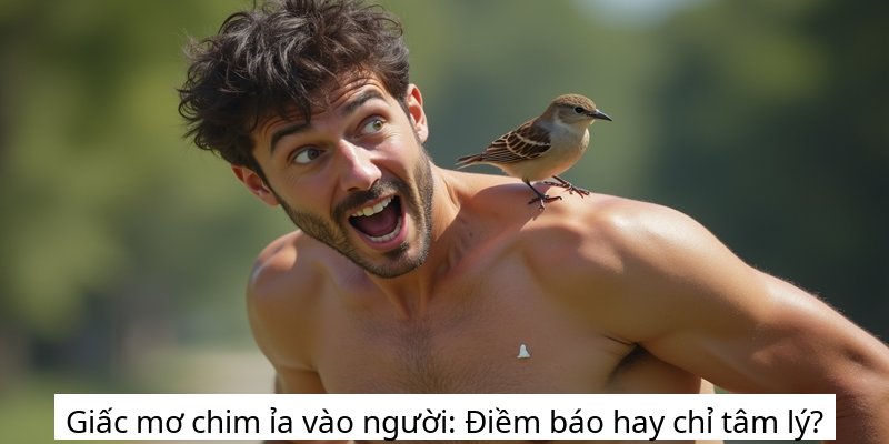 Giấc mơ chim ỉa vào người: Điềm báo hay chỉ tâm lý?