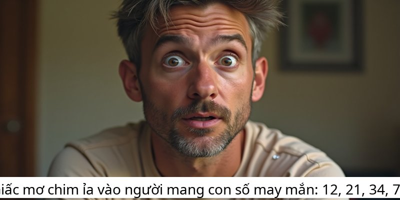 Giấc mơ chim ỉa vào người mang con số may mắn: 12, 21, 34, 78