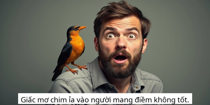 Giấc mơ chim ỉa vào người mang điềm không tốt.