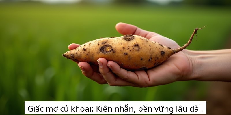 Giấc mơ củ khoai: Kiên nhẫn, bền vững lâu dài.
