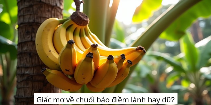 Giấc mơ về chuối báo điềm lành hay dữ?